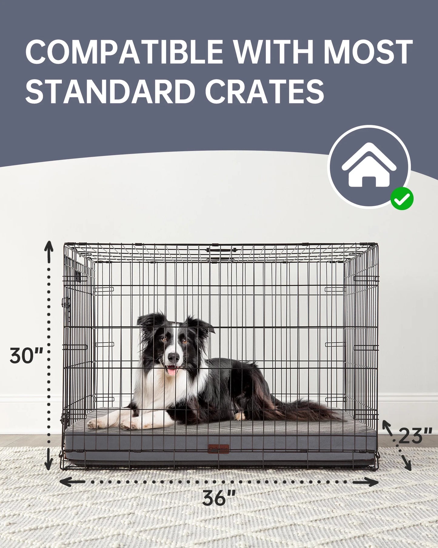 35In Gray Orthopedic Dog Bed for Large and Medium Dogs with Egg Crate Foam Support and Non-Slip Bottom, Waterproof and Machine Washable Removable Pet Bed Cover,Size(35"X22"X3.5")