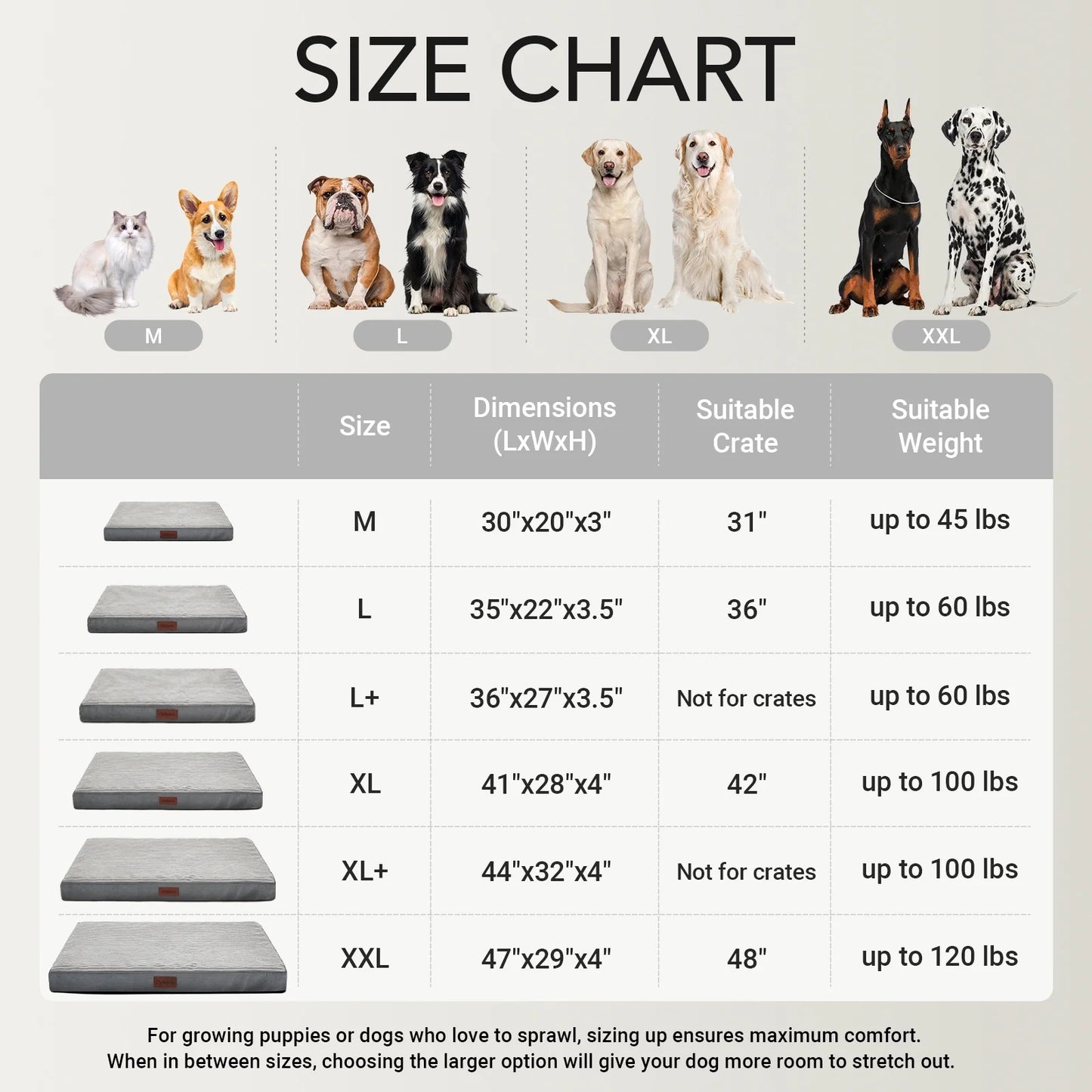 35In Gray Orthopedic Dog Bed for Large and Medium Dogs with Egg Crate Foam Support and Non-Slip Bottom, Waterproof and Machine Washable Removable Pet Bed Cover,Size(35"X22"X3.5")