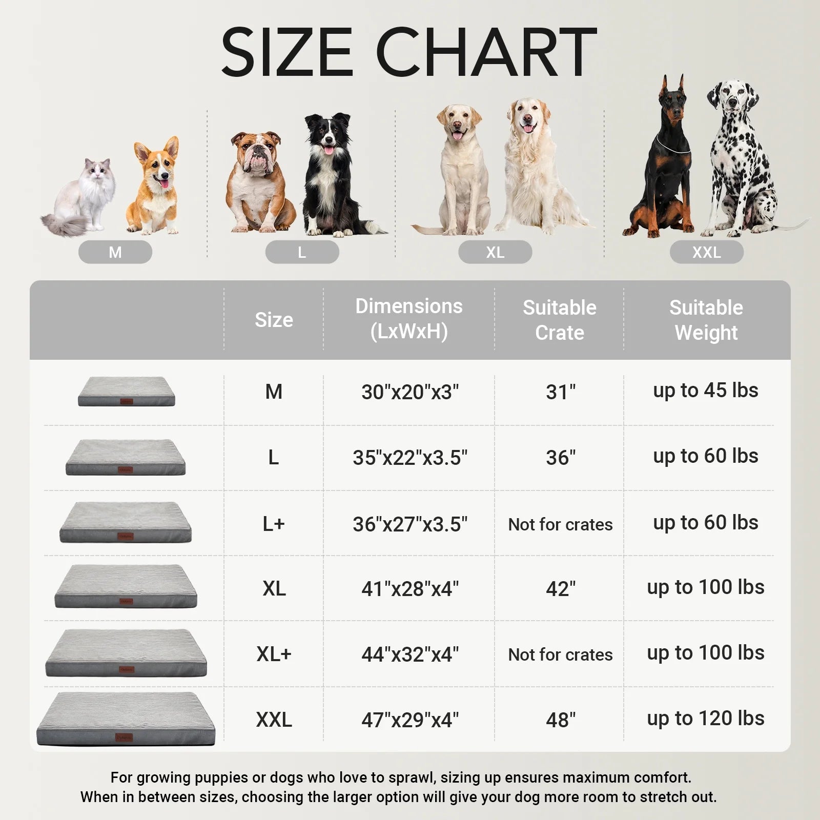 35In Gray Orthopedic Dog Bed for Large and Medium Dogs with Egg Crate Foam Support and Non-Slip Bottom, Waterproof and Machine Washable Removable Pet Bed Cover,Size(35"X22"X3.5")