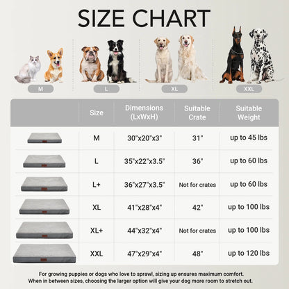 35In Gray Orthopedic Dog Bed for Large and Medium Dogs with Egg Crate Foam Support and Non-Slip Bottom, Waterproof and Machine Washable Removable Pet Bed Cover,Size(35"X22"X3.5")