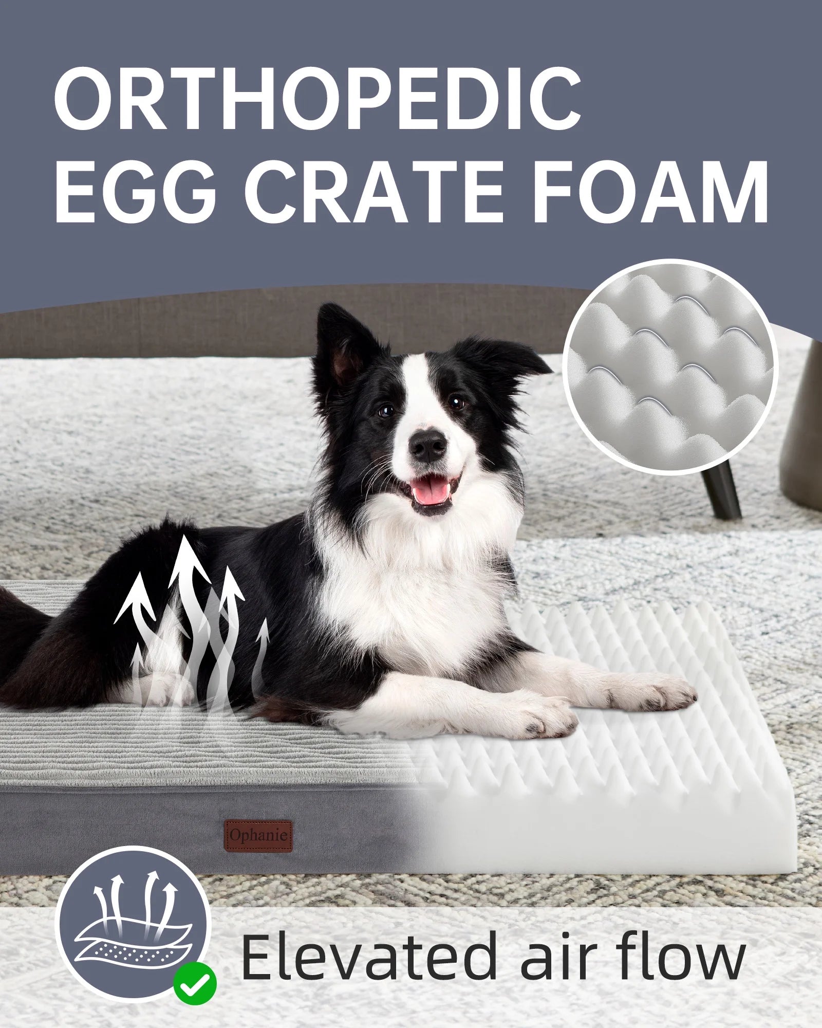 35In Gray Orthopedic Dog Bed for Large and Medium Dogs with Egg Crate Foam Support and Non-Slip Bottom, Waterproof and Machine Washable Removable Pet Bed Cover,Size(35"X22"X3.5")
